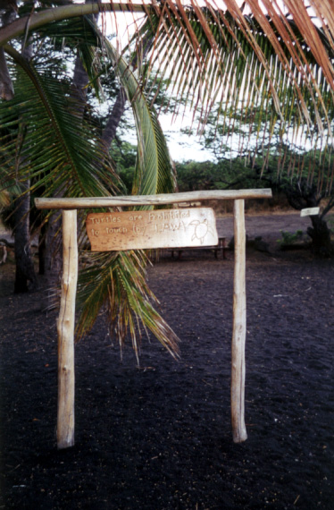 014_punaluu_turtle_sign