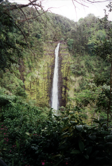 058_akaka_falls_state_park