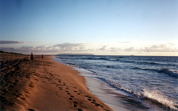 069_polihale_beach_1