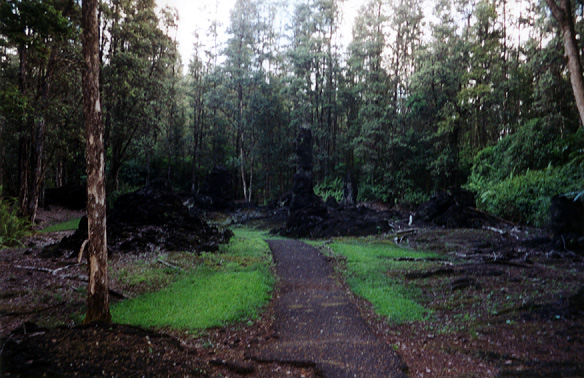 130_lava_tree_state_park_1